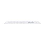 Teclado Apple Magic MQ052LLA
