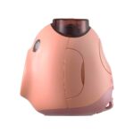 Cámara Fujifilm Intax PAL Digital