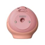 Cámara Fujifilm Intax PAL Digital