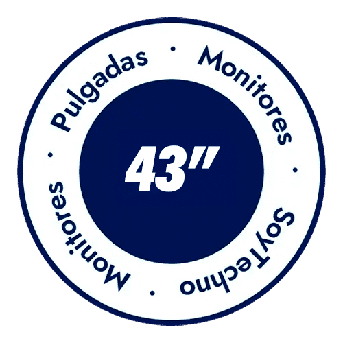 Categoría 43