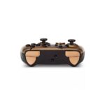 Control Nintendo Switch Gold Rider